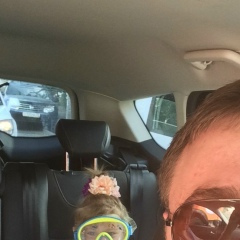 Артем Александрович, 12.05, Москва