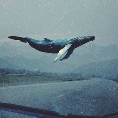 Gabriel Silva, 04.11.1997