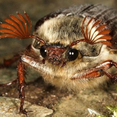 Дмитрий Мухамадеев, 09.04, Казань