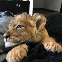 Аязби Абдулкаримов, 03.05, Актау