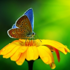 Марина Котик, 01.01.2003, Новомосковск