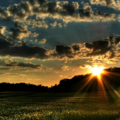 Дархан Калапов, 23.02, Тараз