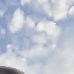 Tim Doormouse, 19.09, Санкт-Петербург