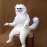 Сауле Толеуова, 21.06