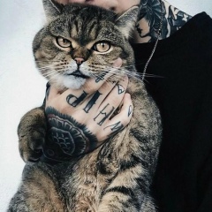 Кирилл Мухин, Киев