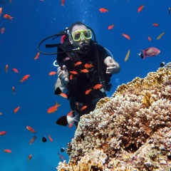 Эмиль Алексанян, 08.05, Калининград