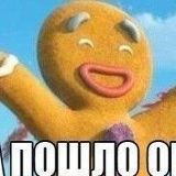 Фархат Газизов, Ново-Бобруйск