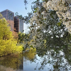 Вера Загрубская, 15.01.1985, Санкт-Петербург