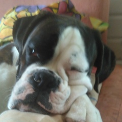 Марина Лежакина, 05.12.1974, Москва