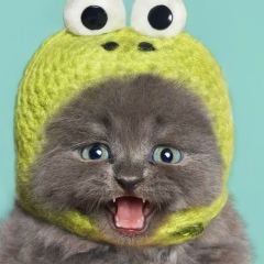 Виталий Кайдан, 18.08.1985, Одесса