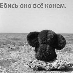 Санёк Барсук, 20.03.1983, Запорожье