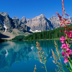 Леша Сюрприз, 03.03.1988, Киев