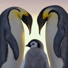 Юлия Ванцева, 06.03, Псков