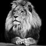 Bekzhan Zhadyger, Астана