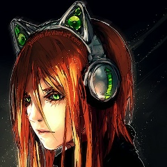 Leksa Wild-Cat, 22.11, Запорожье