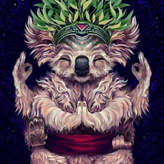 Светлана Арапова, 09.11, Тюмень