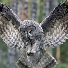 Мария Хоружая, 21.11, Москва