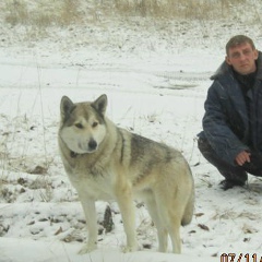 Дмитрий Обросков, 25.06.1986