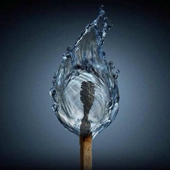 Елена Прохорова, 19.08.1983, Москва