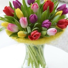 Жайна Этиева, 24.05.2001, Гудермес