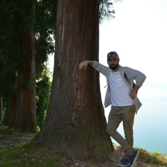 Айк Арамян, 29.11, Ярославль