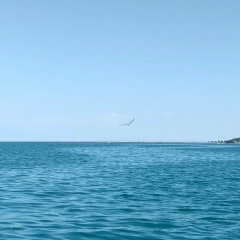 Айым Казыбаева, Алматы