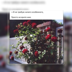 Маржан Бекеева, 15.04, Уржар