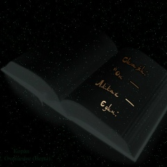 Raya Amaeva, 24.02, Львов