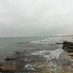 Эрик Тағанов, 01.01.1990, Алматы