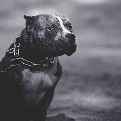 Женя Близнюк