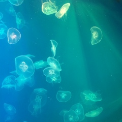 Галина Борзова, 26.07.1977, Санкт-Петербург