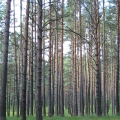Ольга Хамзина, 27.04, Санкт-Петербург
