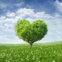 Ko Phyo, 01.02.1992, Yangon