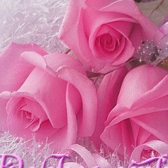 Елена Скворцова, 04.04, Москва