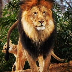 Иван Казаков, 04.08.1982, Москва