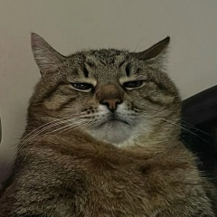 Надежда Надежда, Москва