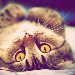 Мария Кушнарева, 03.04, Москва