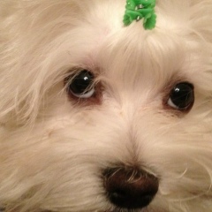 Арина Винникова, 20.01.1993, Новокузнецк