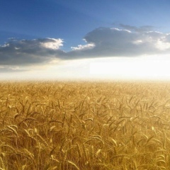 Анна Ткаченко, 16.05, Одесса