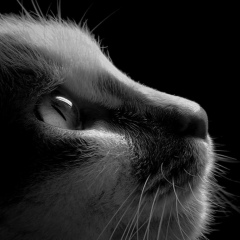 Татьянка Плясова, 13.06, Санкт-Петербург