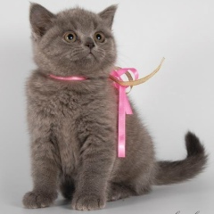 Юрий Кубельник, 08.02.1992, Глинное