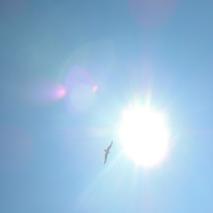 Алена Пушкина, 28.11, Санкт-Петербург