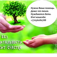 Алексей Цой, Павлодар