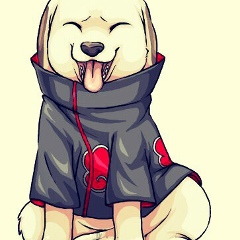 Максим Волочаев, 22.01, Хабаровск