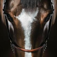 Рамзан Умаров, Грозный