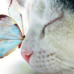 Ольга Александрова, 23.01