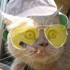 Тёма Азаров, 15.01, Губкин