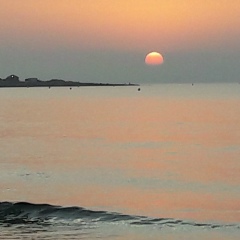 Ramon Liske, 02.08, Habana