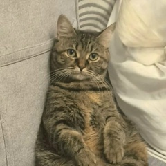 Gauhar Kenessova, 27.03.1994, Алматы