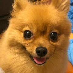 Вахоб Гафуров, 08.04